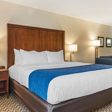 Comfort Inn & Suites Near Route 66 Lincoln Szoba fotó