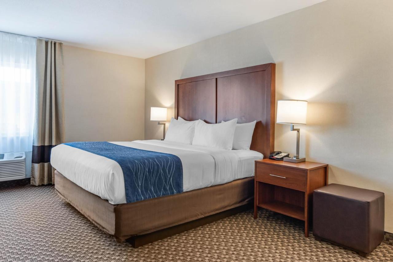 Comfort Inn & Suites Near Route 66 Lincoln Szoba fotó
