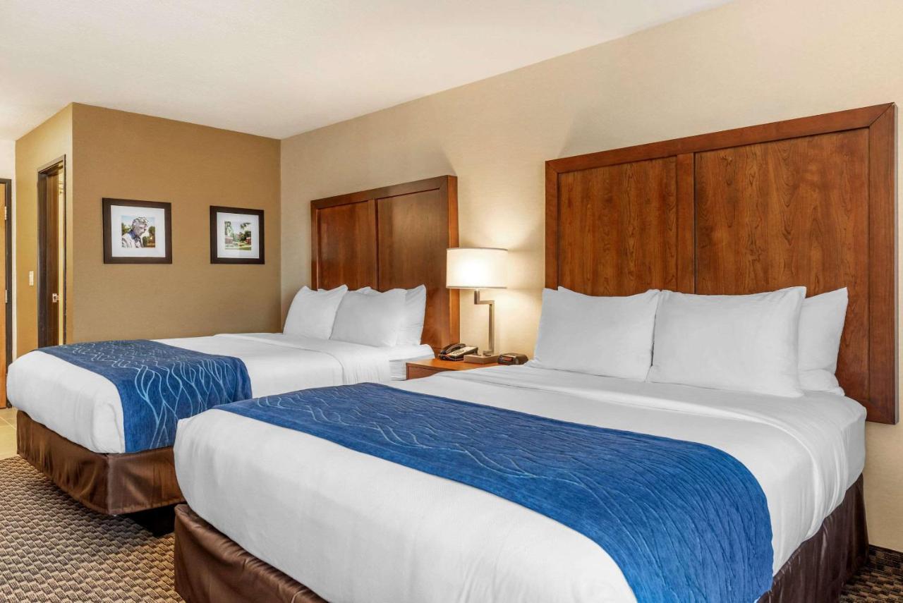 Comfort Inn & Suites Near Route 66 Lincoln Kültér fotó